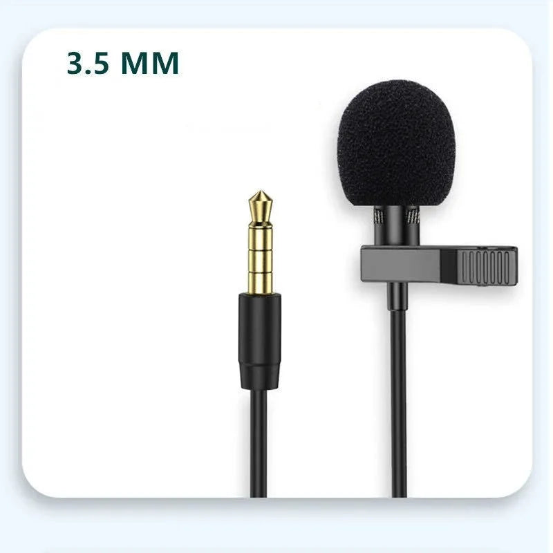 Mini portable microphone