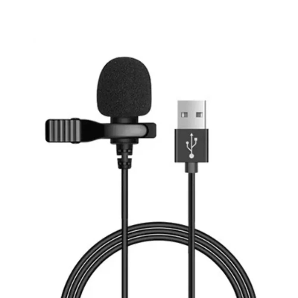 Mini portable microphone