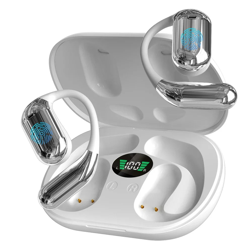 3-in-1 Translator Earphones